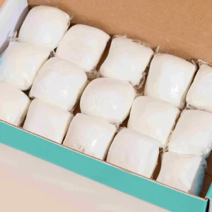 Nettoyant Ecologique Pods Pour WC x 15