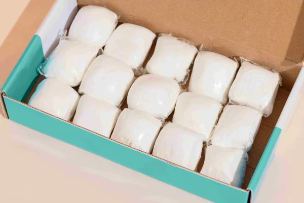 Nettoyant Ecologique Pods Pour WC x 15 – Image 2