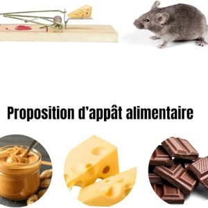 Pack de 2 Pièges à Souris en Bois Ecologique