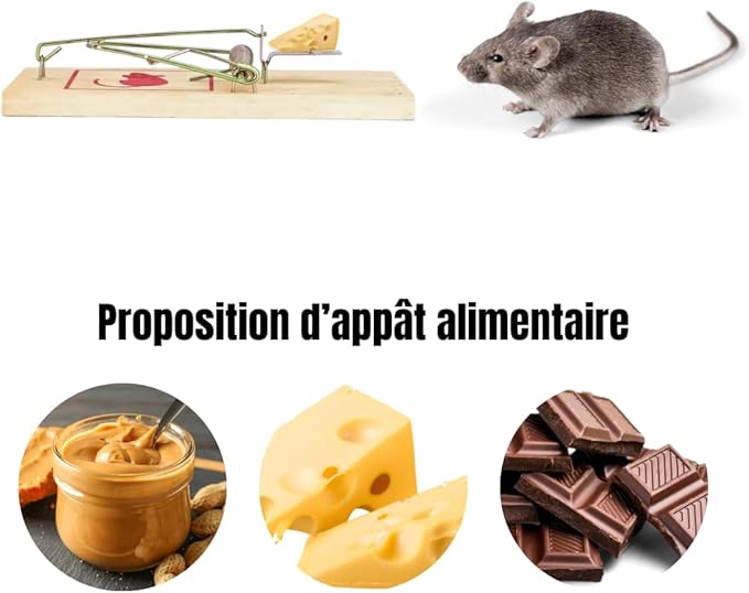 Pack de 2 Pièges à Souris en Bois Ecologique – Image 5