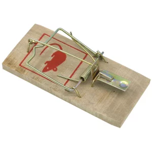 Pack de 2 Pièges à Souris en Bois Ecologique