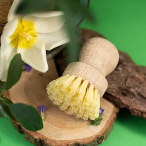 Brosse à Vaisselle en bois