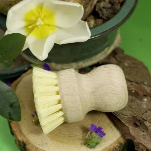 Brosse à Vaisselle en bois
